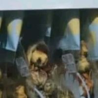 忆江南金桔柠檬百香果2盒210g儿童水果茶茶包冻干柠檬片冷泡茶花