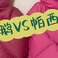 【宝宝羽绒服选购指南｜保姆鹅VS帕西爷爷实测对比】