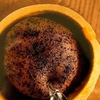 双11饮品狂欢：手冲咖啡豆评测，养生茶饮推荐，创意调酒分享