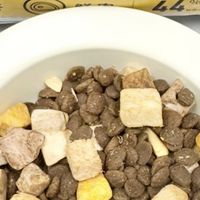 平价猫粮Whycat冻干添加