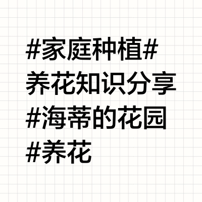 6种园艺剪刀测评，选对工具事半功倍!