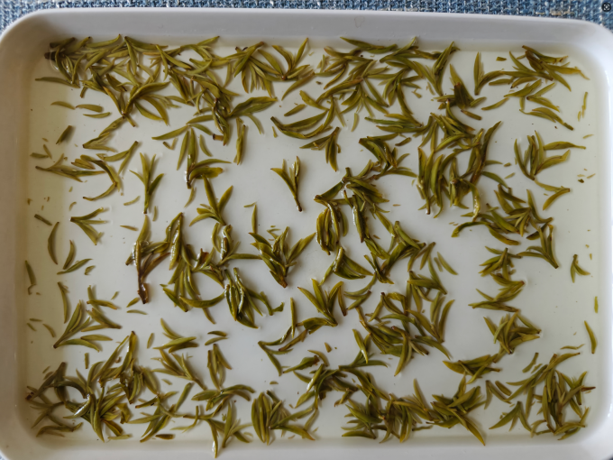 飞萃绿茶