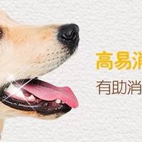 标题：从焦虑到安心：我的猫粮选择之路