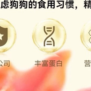 我的狗狗零食挑选心得：只选对的，不选花的