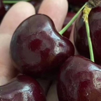 双11生鲜新囤法！冷门宝藏不踩雷，省钱还实用！