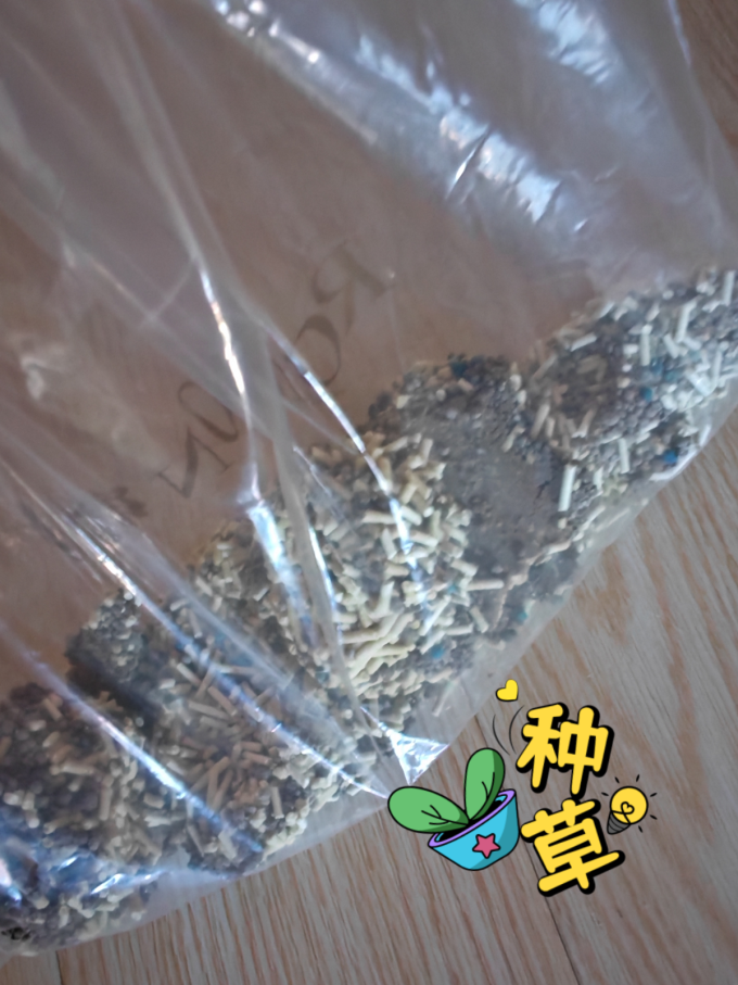 肉垫猫砂