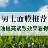 2025双11男士面膜推荐Top5，控油提亮紧致效果看得见