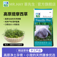 为什么提摩西草是小宠的「本命主食」？