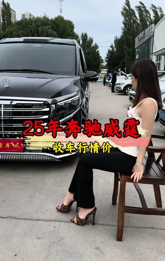 奔驰大立标，男人直起的腰。奔驰威霆太帅了，价格美丽#奔驰威霆v260改装