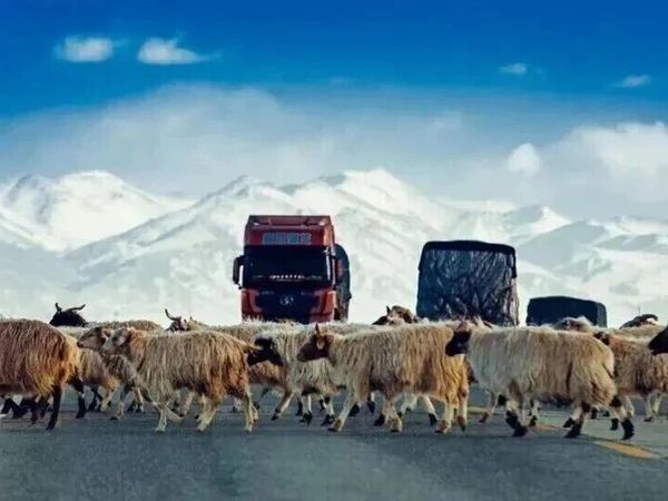 10-11月大西北旅游实际情况！