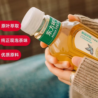 东方树叶:淡茶的魅力