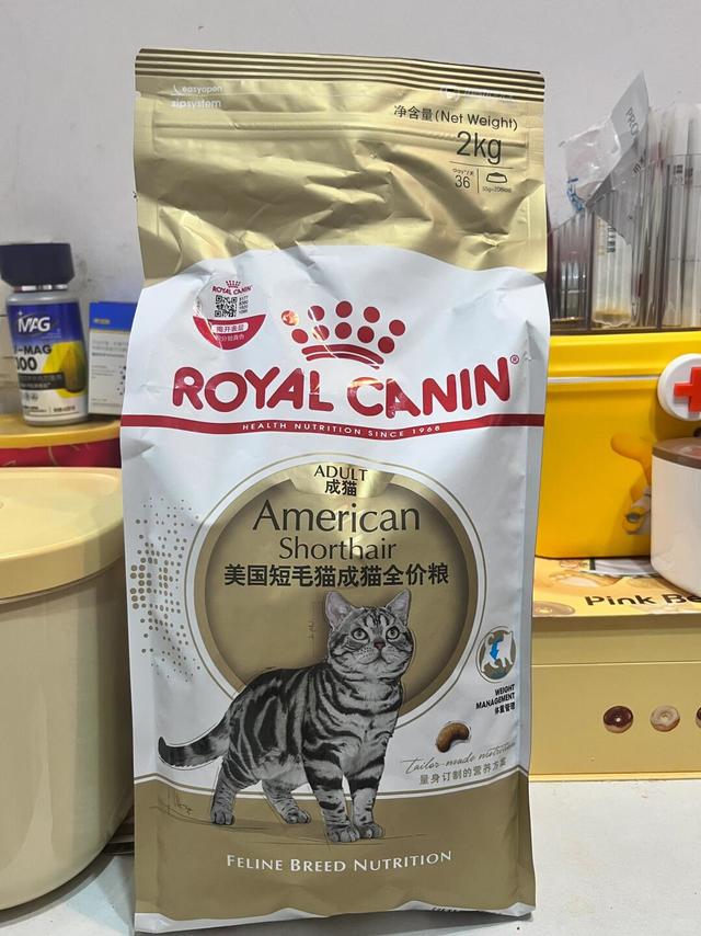 美短要吃美短粮~