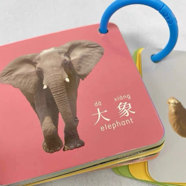 双11育儿好物之动物认知卡片：宝宝早教好帮手