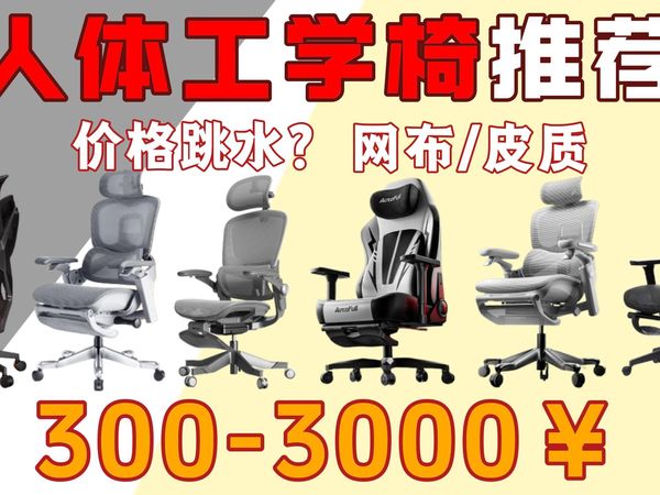 【双十一人体工学椅推荐】国补300-3000元价位推荐，看这期视频少走弯路 ！大中小体型全部包含 保友/永艺/黑白调/京东京造/西昊/Ergomax/歌德利等