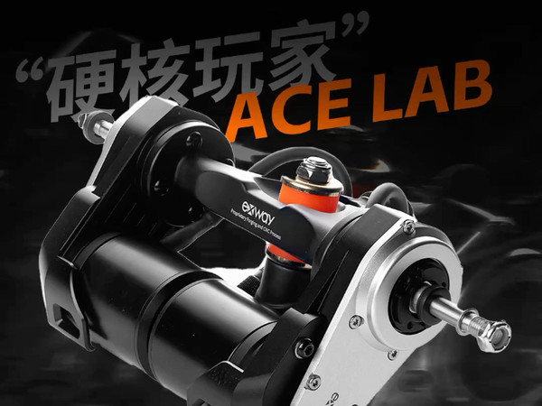 《鸽言鸽语 ACE街板齿轮箱》行业难题还是得Exway来解决！缺点都丢掉，优点都保留！