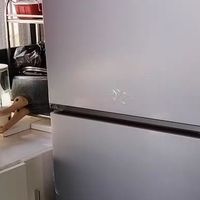 海尔226升三门冰箱软冷冻保鲜