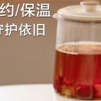 荣事达（Royalstar）养生壶 烧水壶煮茶壶电热水壶恒温壶炖煮一体