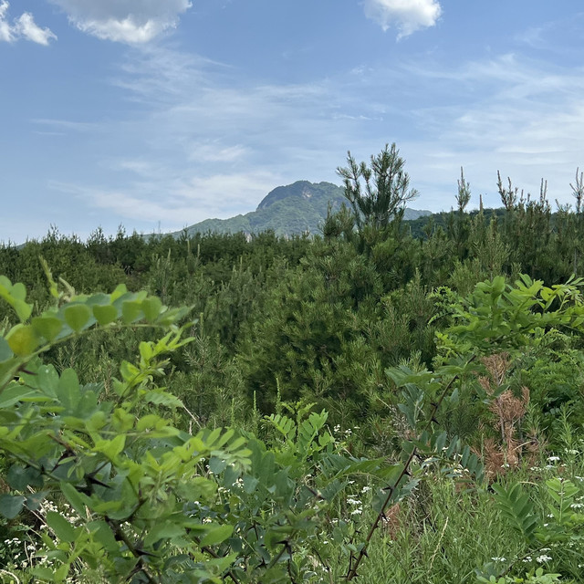 2025年蜂蜜十大品牌测评：哪个牌子的蜂蜜最值得买？