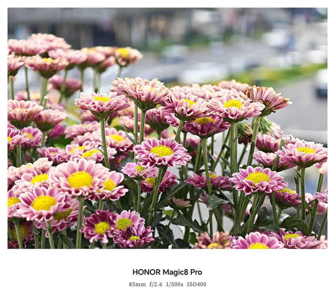 荣耀Magic8 Pro首发体验：由AI引导的手机自进化