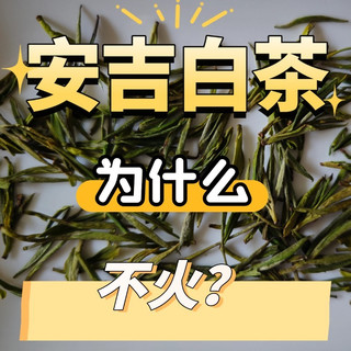 为什么安吉白茶在茶叶市场火不起来？
