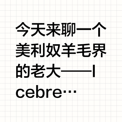 扒一扒 Icebreaker，新西兰神器值得入手么