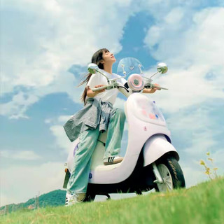 电动车市场大乱斗，绿源、雅迪、九号、小牛爆款产品怎么选？