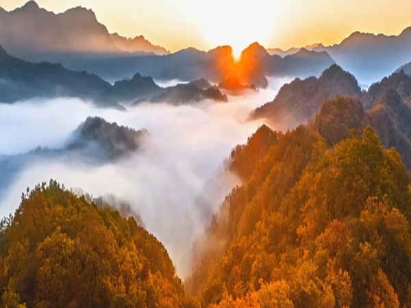 光雾山之秋：一场不可错过的色彩盛宴