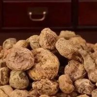 《本草纲目》故事系列——延胡索的故事