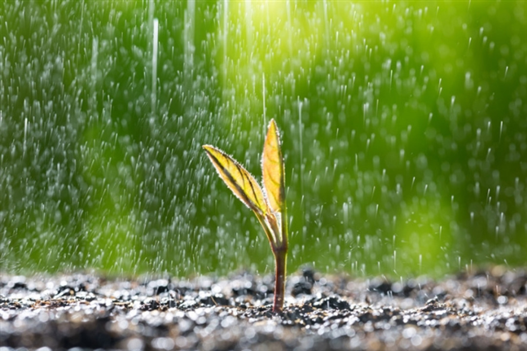 冷空气发力 暴雨大暴雨要来了