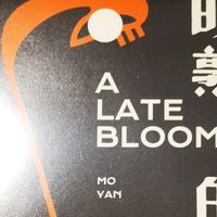 读《晚熟的人》：在故事里照见人性与时光