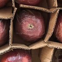 2025产季苹果品质白皮书发布