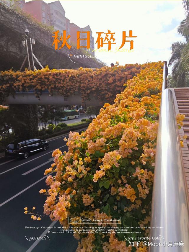 今年双十一，你优先把钱花在哪些提升家居生活品质的环节上？