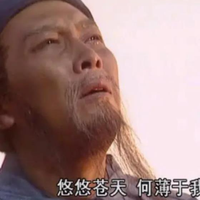 不再是263元！被网友称为“蜀汉之痛”的西成高铁全线票价上涨