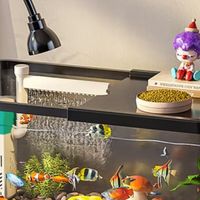 我的“省心搭档”：阔庭懒人金鱼缸