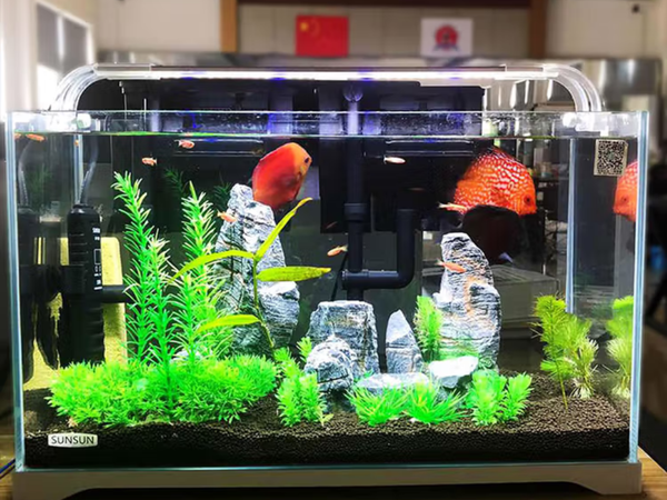 我的桌面小治愈：森森超白玻璃小鱼缸裸缸款