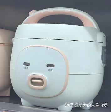 想买个电饭煲,有没有可以推荐的经济实惠的?