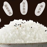 苏泊尔电饭煲:健康烹饪新选择