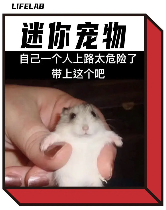 水族