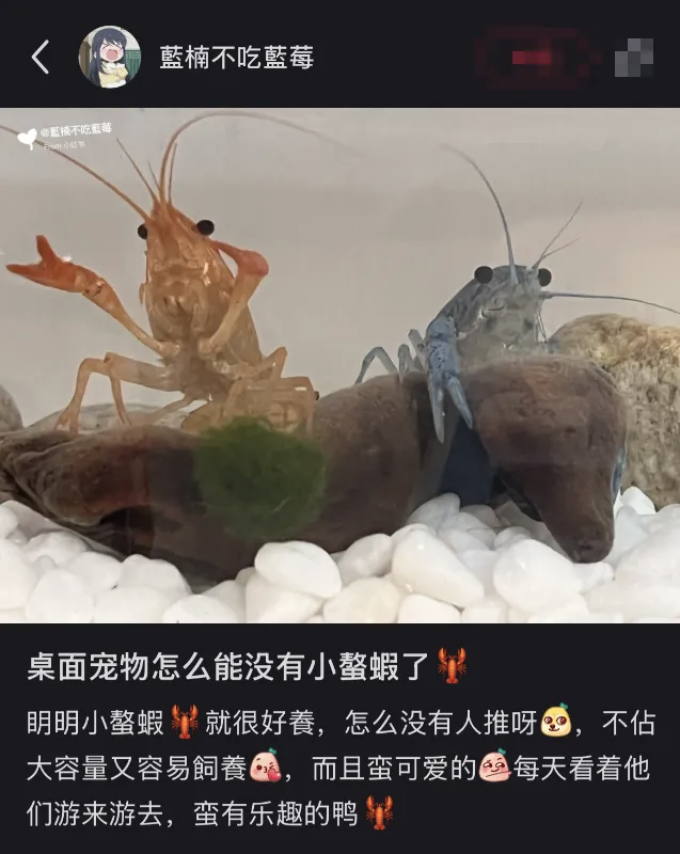 水族