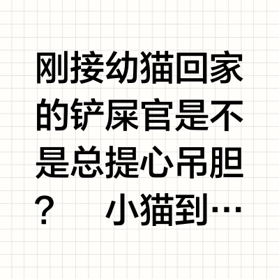 小瘦猫变圆滚滚！冠能幼猫粮绝了！