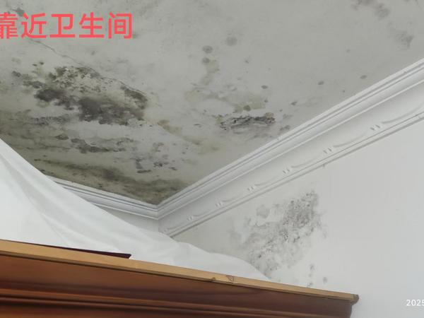 查漏报告:回南天还是渗漏？三大原因揭示真相！