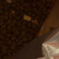 WOWO喔喔全价犬粮：健康与美味兼备