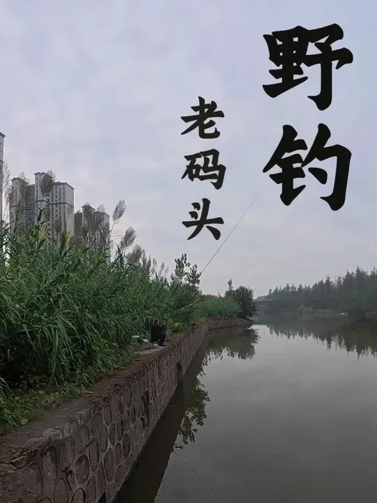 偶遇张大爷在他的神秘钓点 #秋天正是钓鲫鱼的好时候 #钓鱼 #今晚吃鱼 #渔之源小蜻蜓二代 #原来钓鱼才是抖音运动顶流