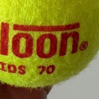 软式网球：零基础减压新选择