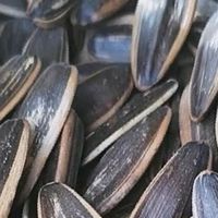双11好吃好喝——老街口五香瓜子1斤装