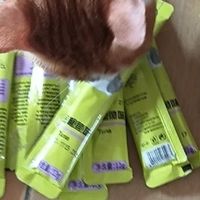 双11养宠必囤清单，猫咪爱吃的高蛋白猫条囤货啦