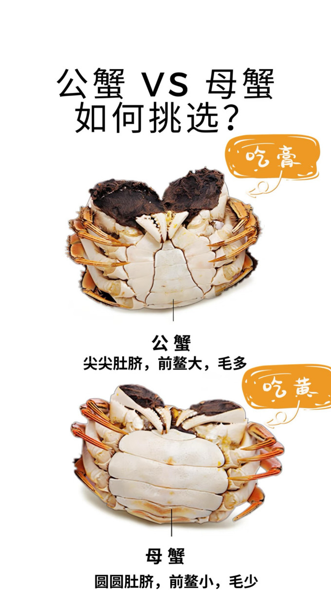 蟹类
