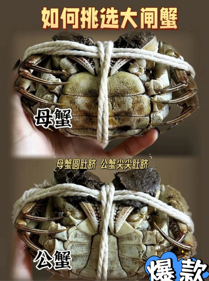 蟹类