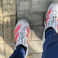 adidas Evo SL枪灰色：全能跑鞋评测