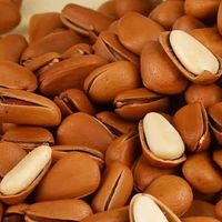 双十一健康零食新宠！百历坚罐装开口松子，一口酥脆超满足